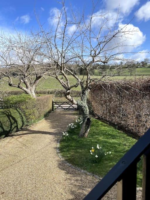 Little Studio Annexe Marlow  Exterior photo
